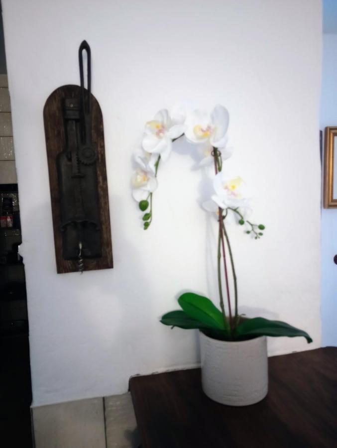דירות ארקוס דה לה פרונטרה Casa Jaruf Centro Historico Parking Gratuito Patio Petfriendly מראה חיצוני תמונה